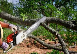 Soil Testing and Treatment in Tappan, NY